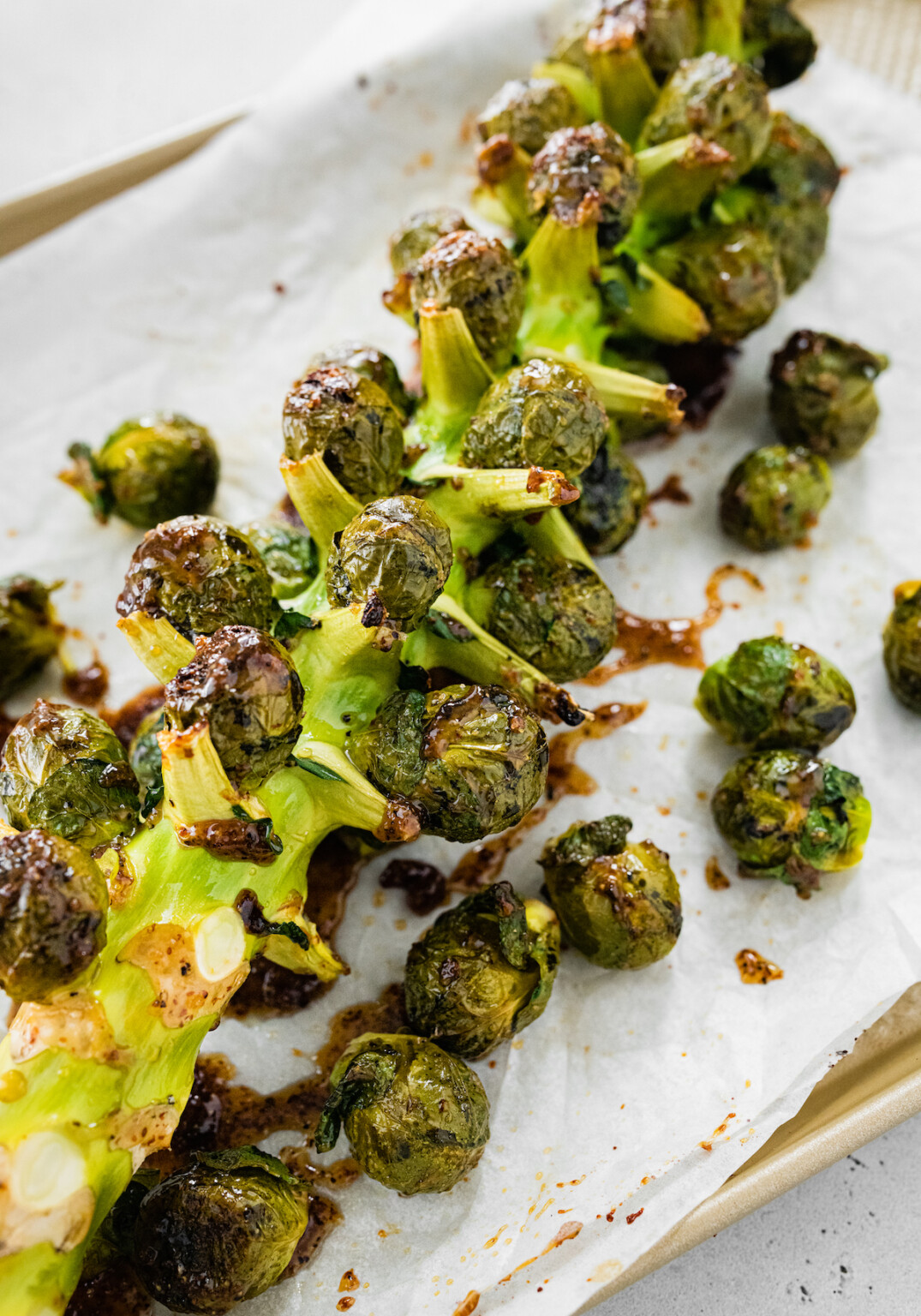 Roasted Brussels Sprouts on the Stalk Eating Bird Food