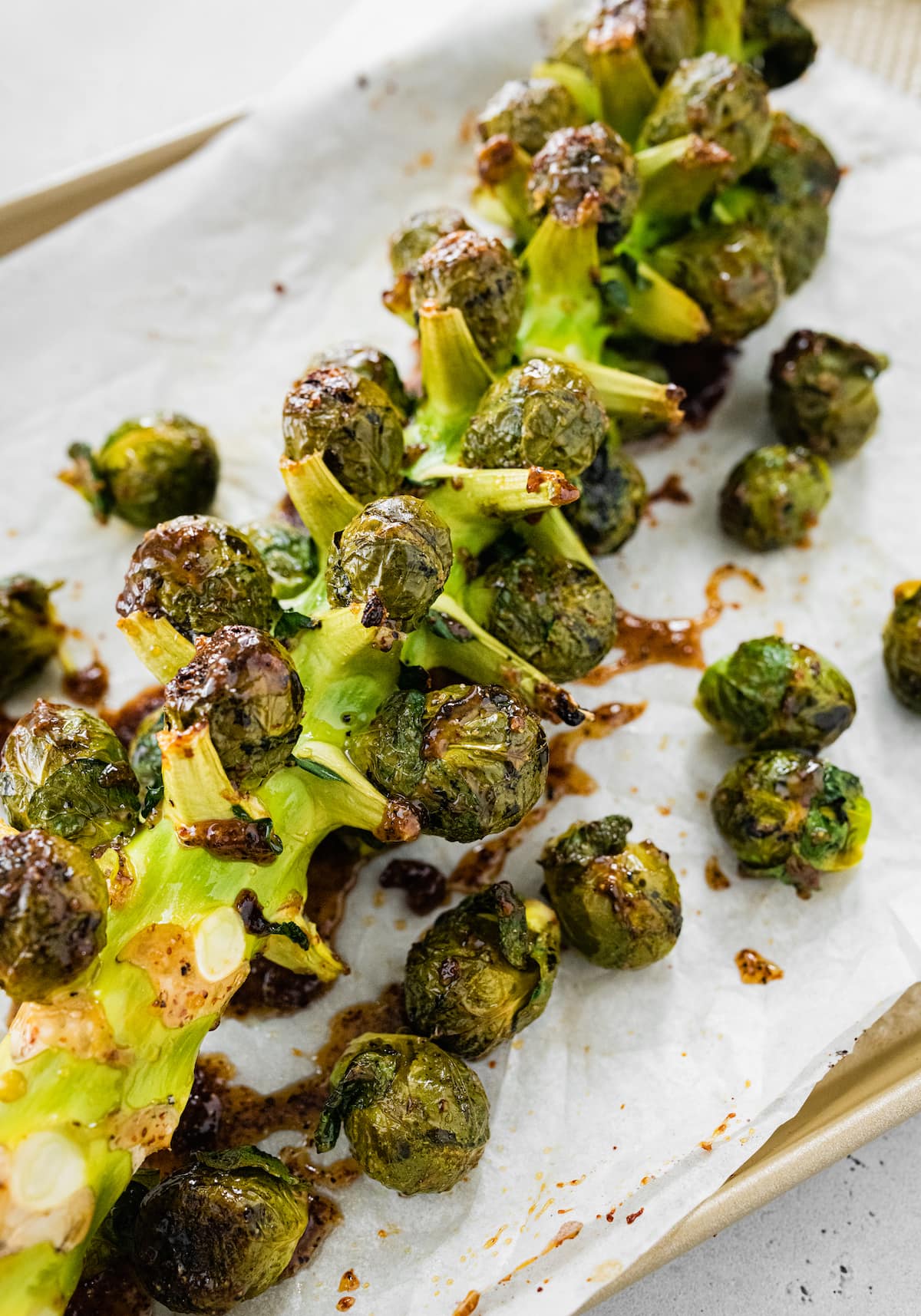 Roasted Brussels Sprouts on the Stalk on parchment paper on a baking tray.