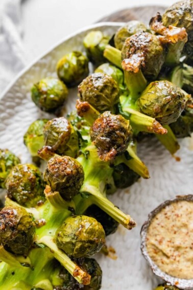 cropped-brussels-sprouts-on-the-stalk-hero.jpg