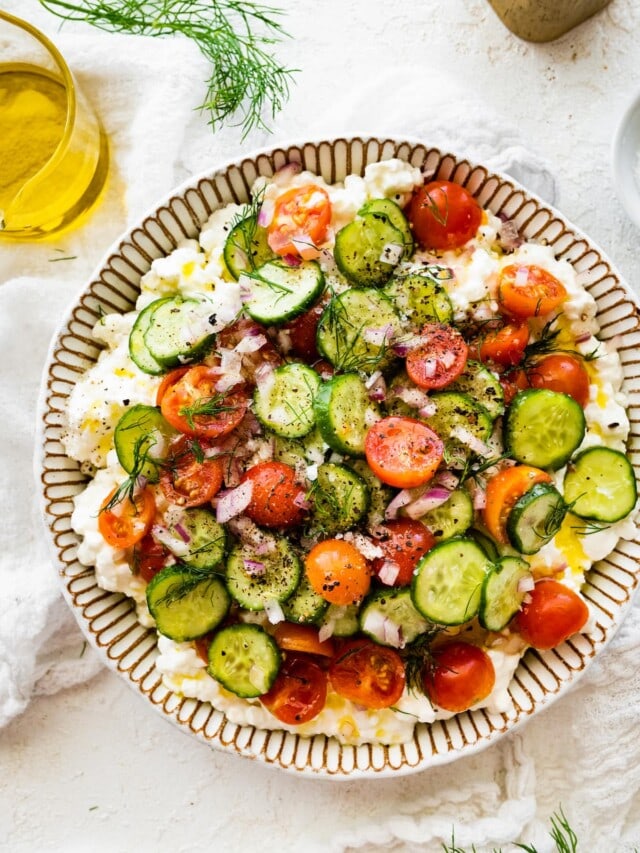 Cottage Cheese Salad Eating Bird Food
