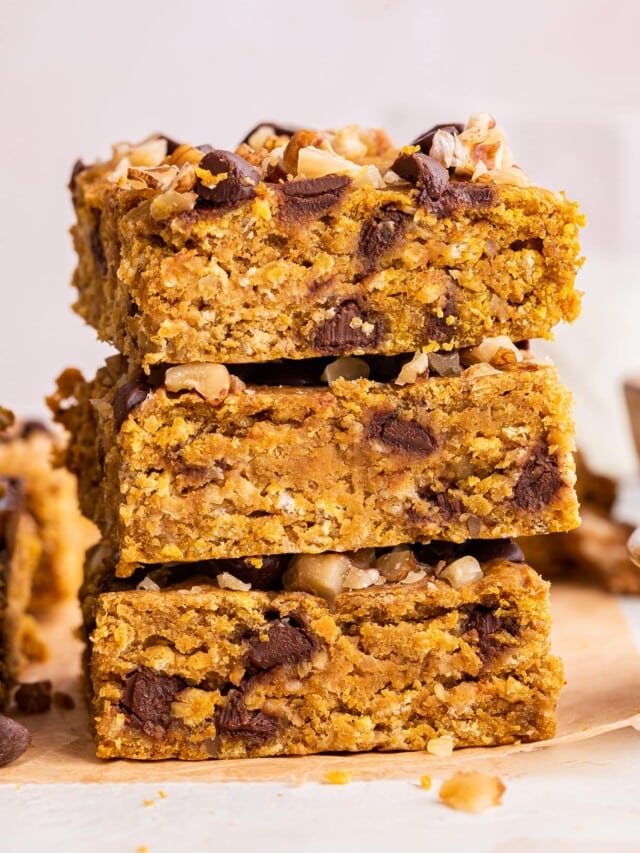 Pumpkin Oatmeal Bars Eating Bird Food