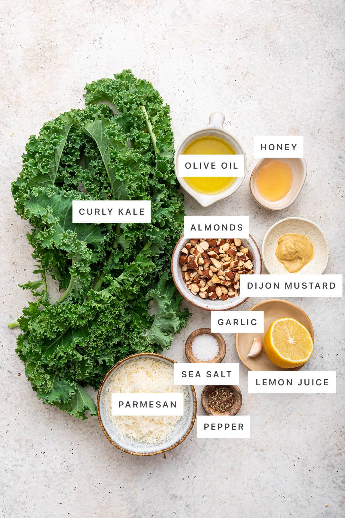 Ingredients measured out to make Easy Kale Salad: curly kale, olive oil, honey, almonds, dijon mustard, garlic, sea salt, lemon juice, parmesan and pepper.