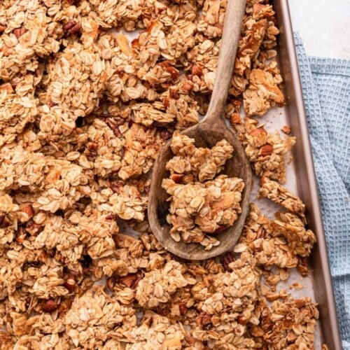 The BEST Homemade Granola (Super Easy ) Eating Bird Food
