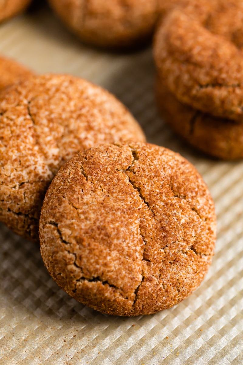 Gluten-free snickerdoodle cookies with a cinnamon topping.