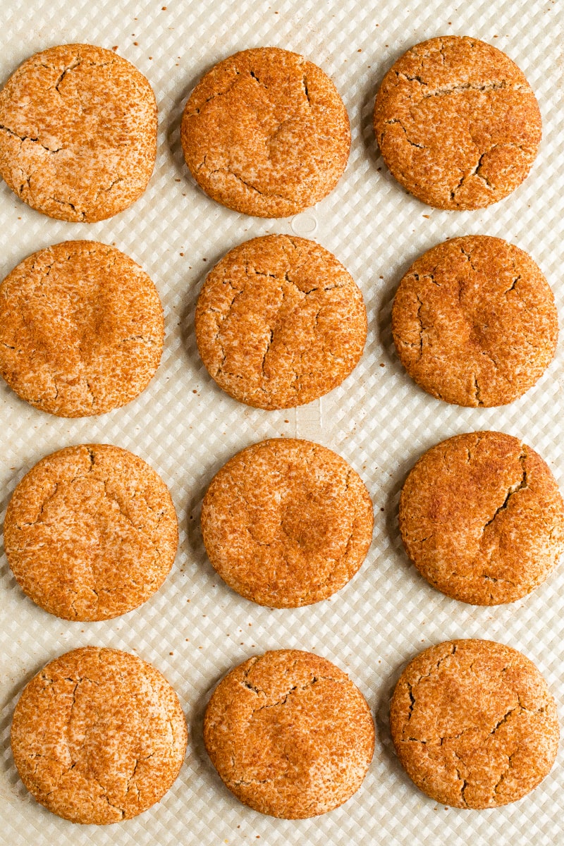 Gluten-free snickerdoodle cookies lined up near one another.