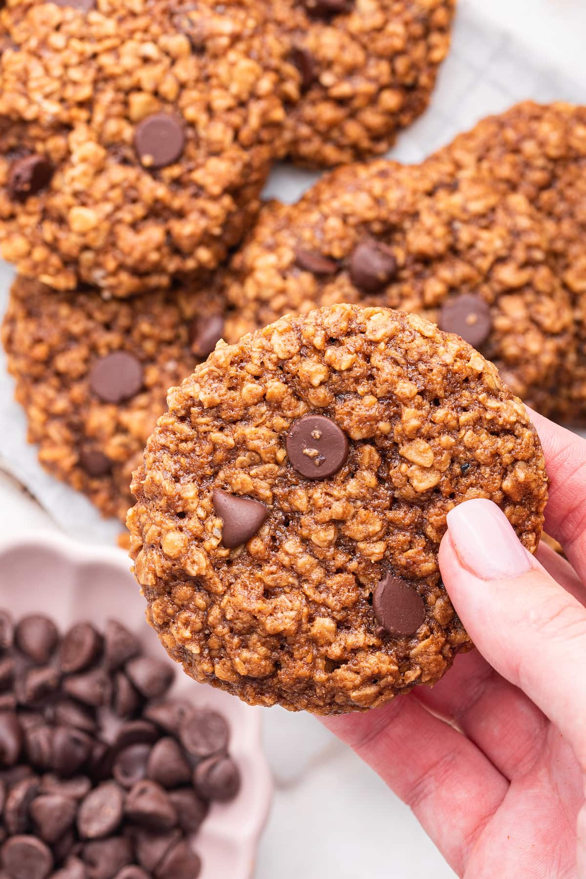 A woman's hand holding a chocolate chip lactation cookie.