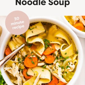 Bowl of Chicken Noodle Soup.