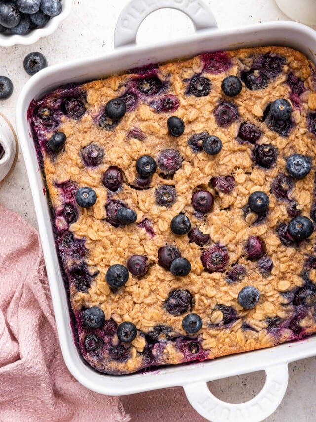 Blueberry Baked Oatmeal Eating Bird Food