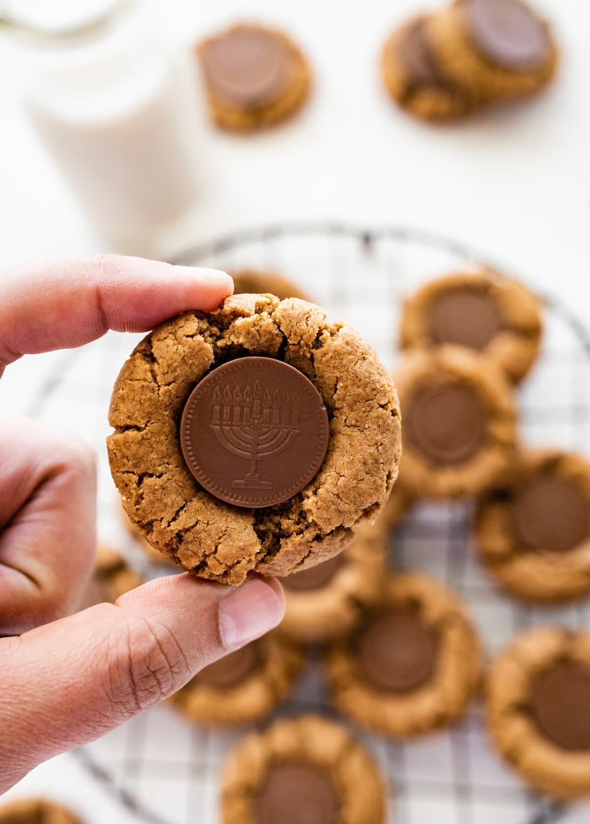 A hand holding a peanut butter blossom that has a chocolate coin that depicts a menorah in the center of each cookie.