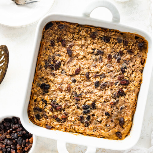 Cinnamon Raisin Baked Oatmeal Eating Bird Food