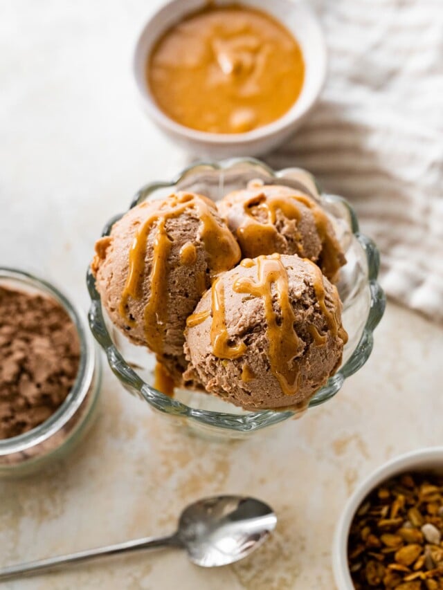 Chocolate Peanut Butter Ninja Creami Protein Ice Cream Eating Bird Food chocolate-peanut-butter-ninja-creami-protein-ice-cream-eating-bird-food