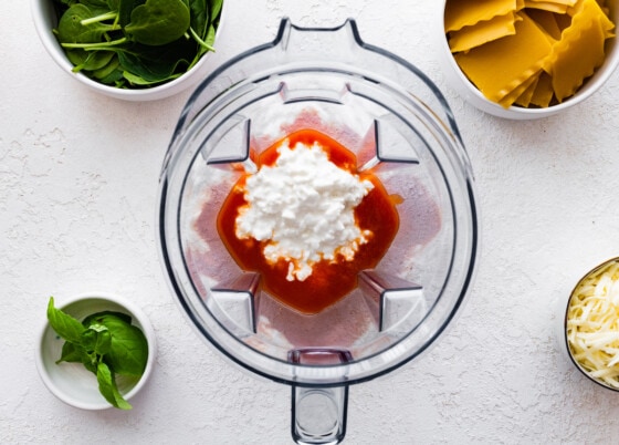 Cottage cheese and marinara sauce in a blender.