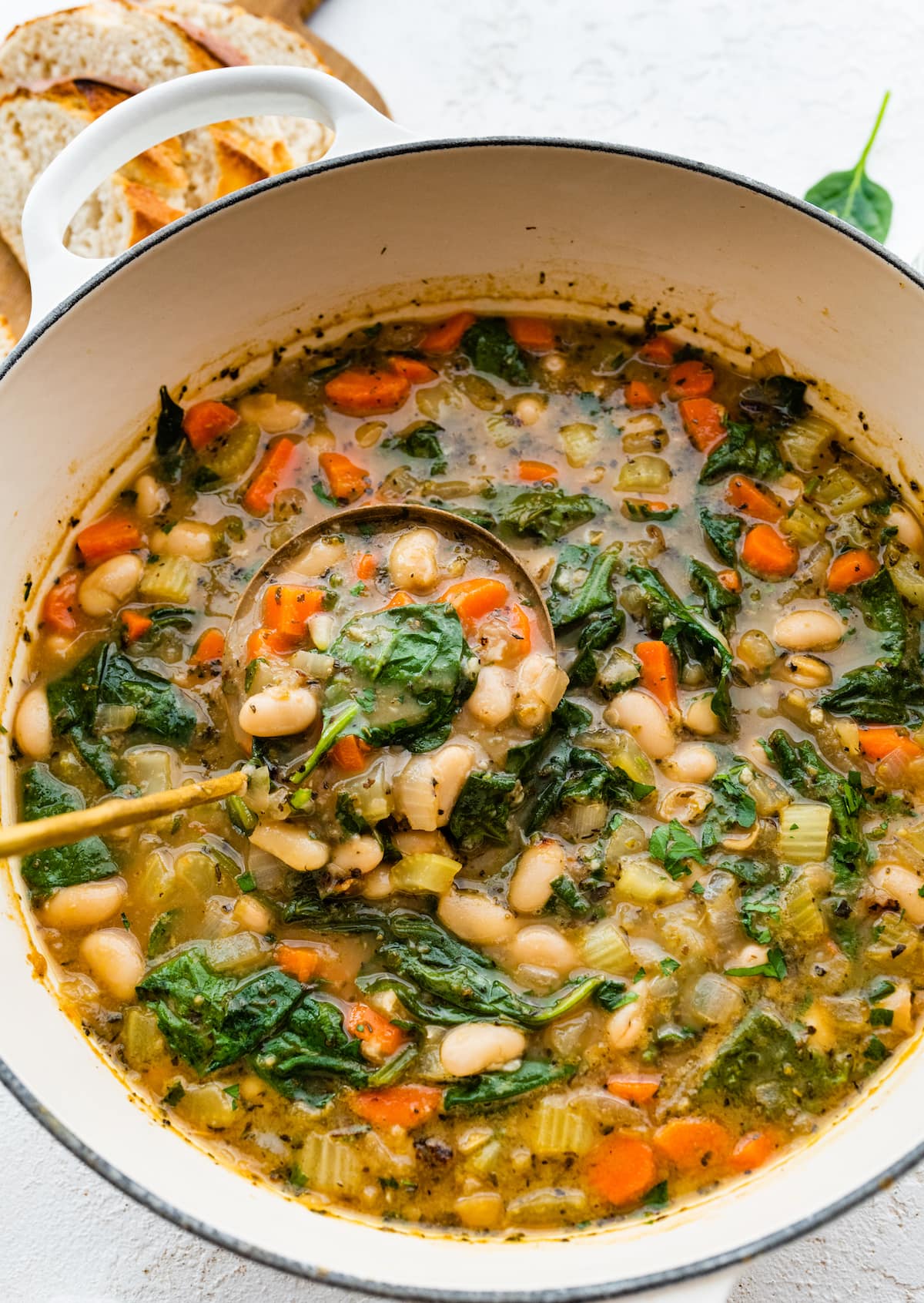 A ladle resting in a large pot of white bean soup.