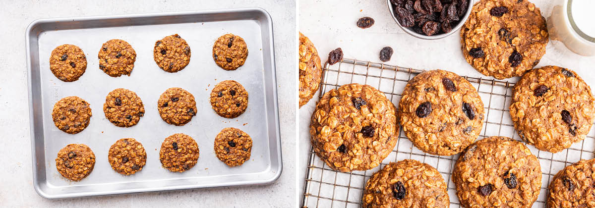 Oatmeal cookies on a cookie sheet and on a cooling rack.