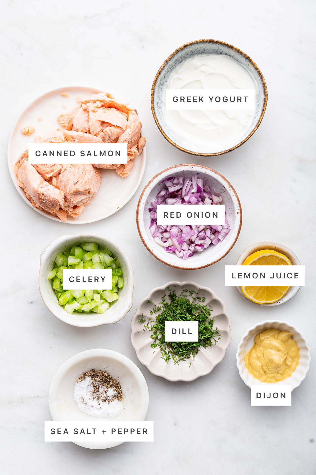 Ingredients measured out to make Salmon Salad: canned salmon, Greek yogurt, red onion, celery, dill, lemon juice, dijon, salt and pepper.