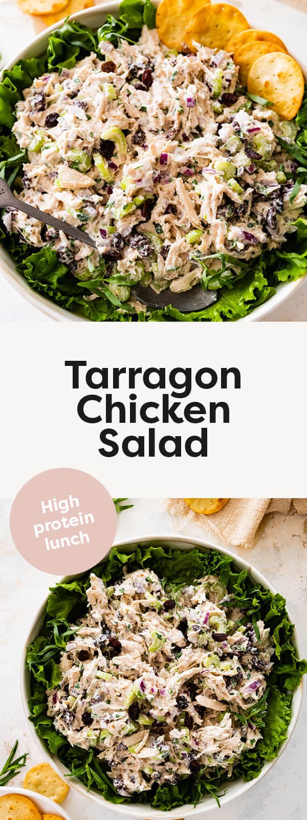 Tarragon Chicken Salad Eating Bird Food