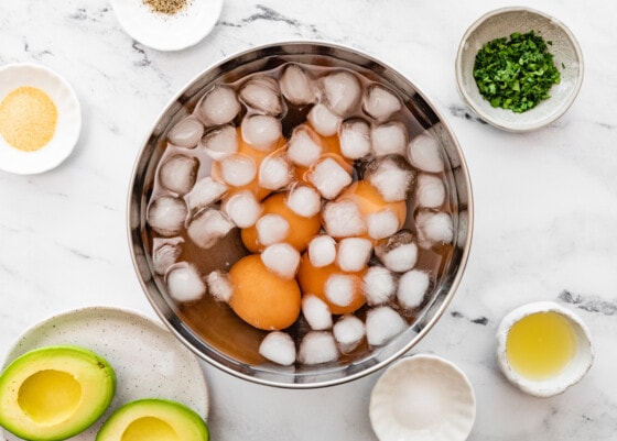 Eggs in a large bowl of iced water.