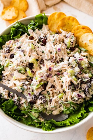 cropped-tarragon-chicken-salad-close-up.jpg