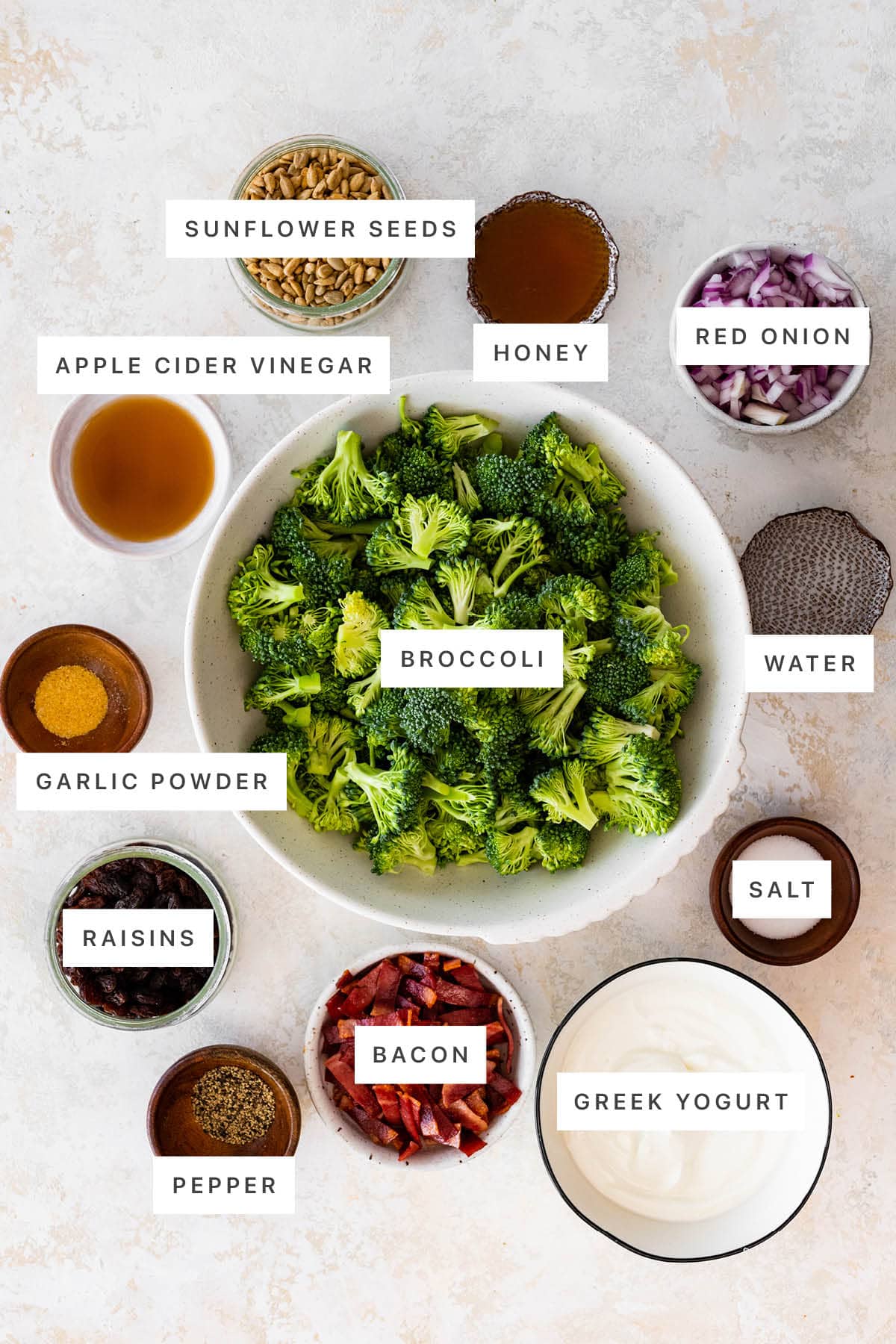 Ingredients measured out to make Classic Broccoli Salad: sunflower seeds, honey, red onion, apple cider vinegar, broccoli, water, garlic powder, raisins, pepper, bacon, Greek yogurt and salt.