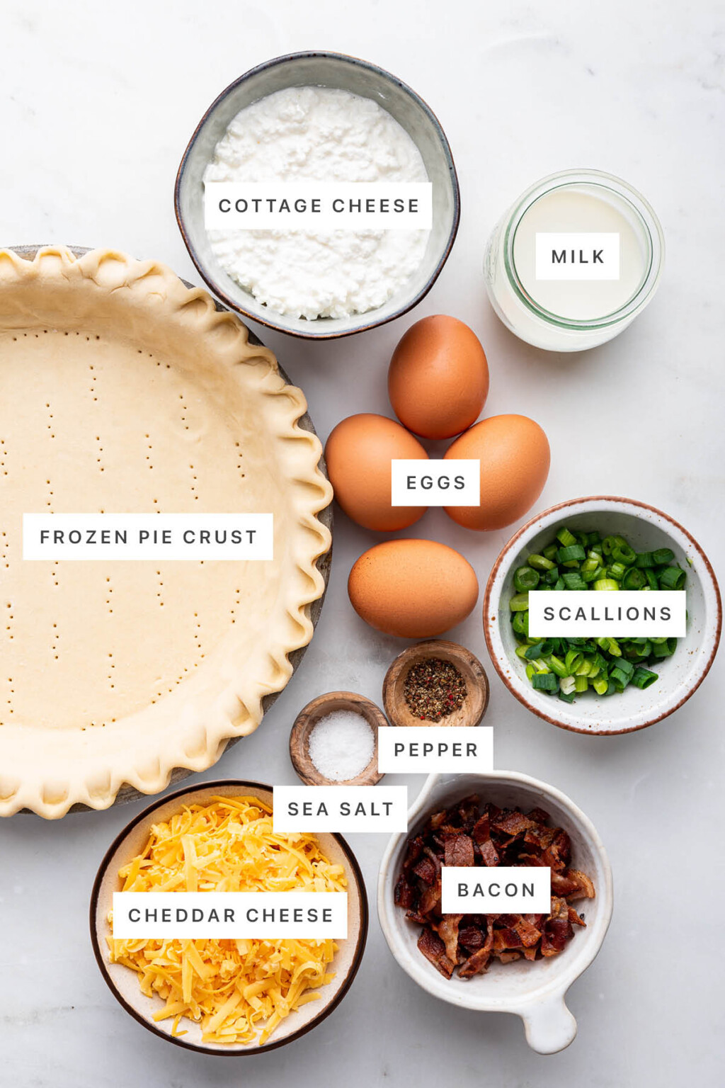 cottage-cheese-quiche-eating-bird-food
