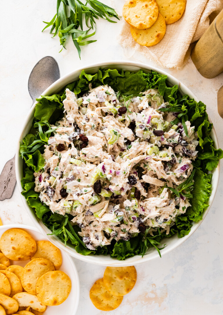 Tarragon Chicken Salad Eating Bird Food