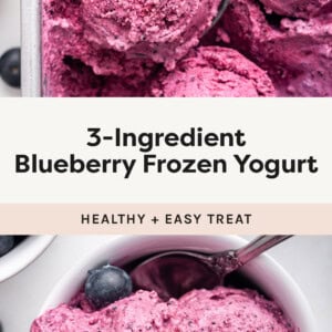 Photo of an ice cream scooper with 3-Ingredient Blueberry Frozen Yogurt and a bowl of frozen yogurt topped with blueberries.