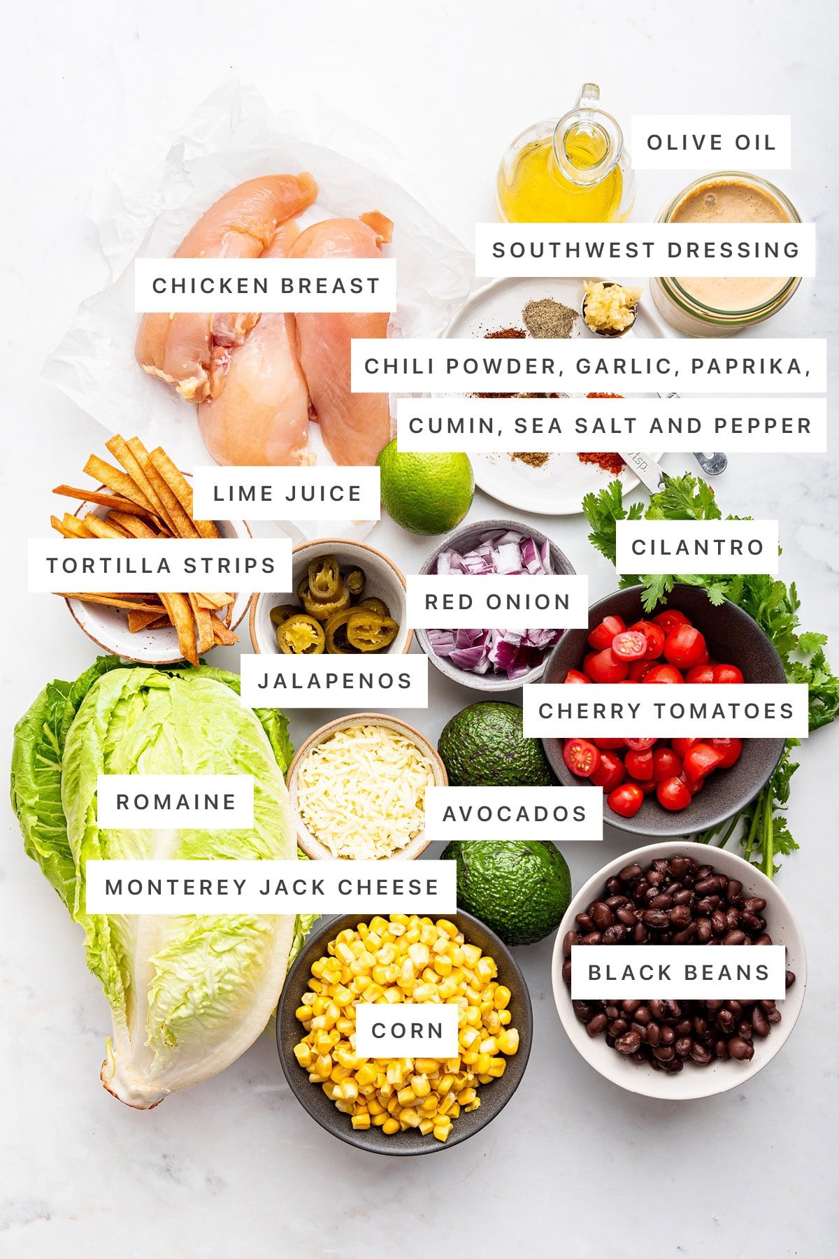Ingredients measured out to make Southwest Chicken Salad: chicken breast, olive oil, southwest dressing, chili powder, garlic, paprika, cumin, sea salt, pepper, lime, tortilla strips, jalapenos, red onion, cilantro, cherry tomatoes, romaine, avocados, monterey jack cheese, corn and black beans.