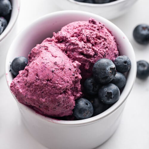Jcool 3 Ingredient Blueberry Frozen Yogurt - Eating Bird Food