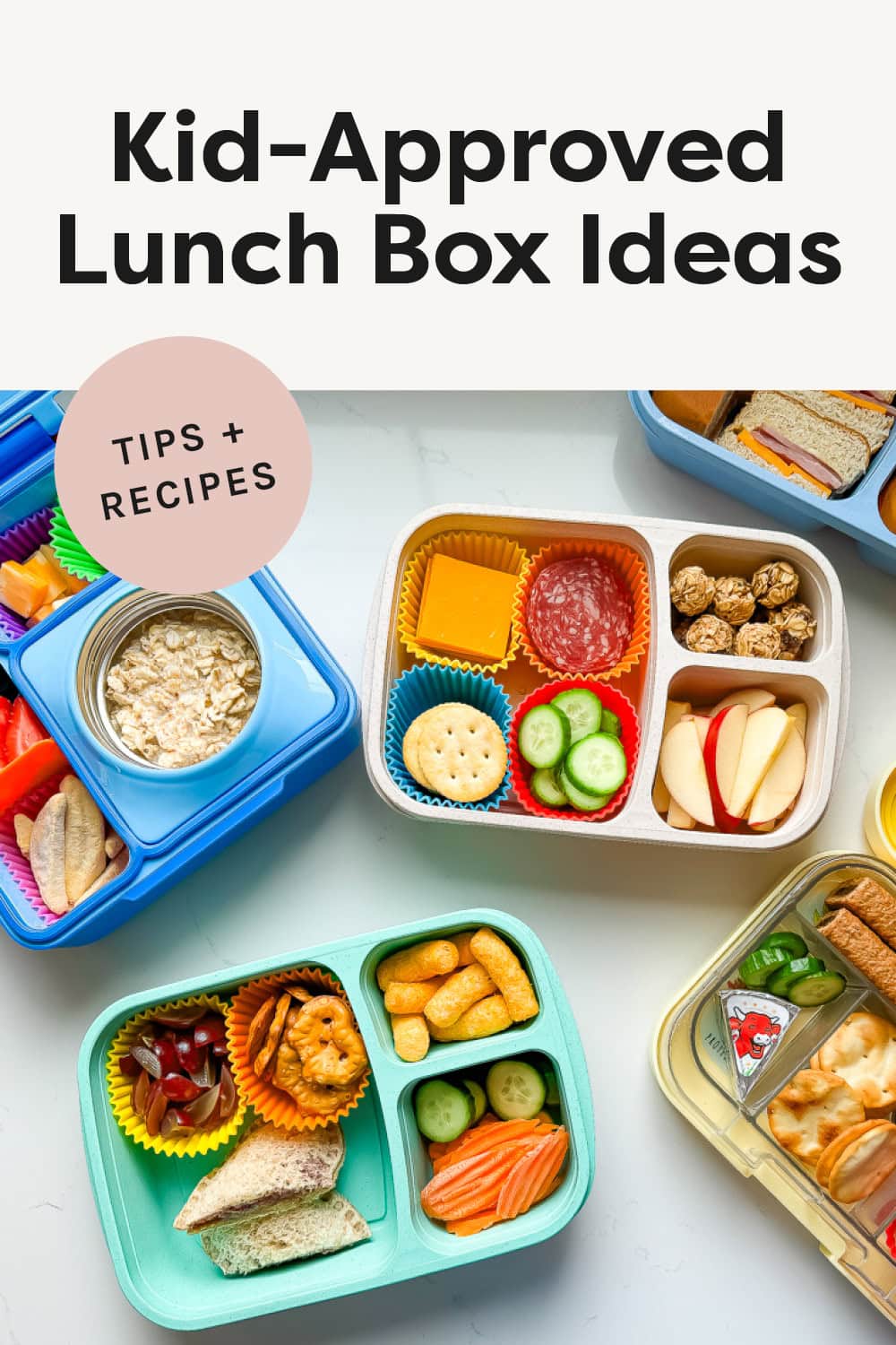 Kid's Lunch Box Ideas: What to Pack, Tips and Recipes - Eating Bird Food