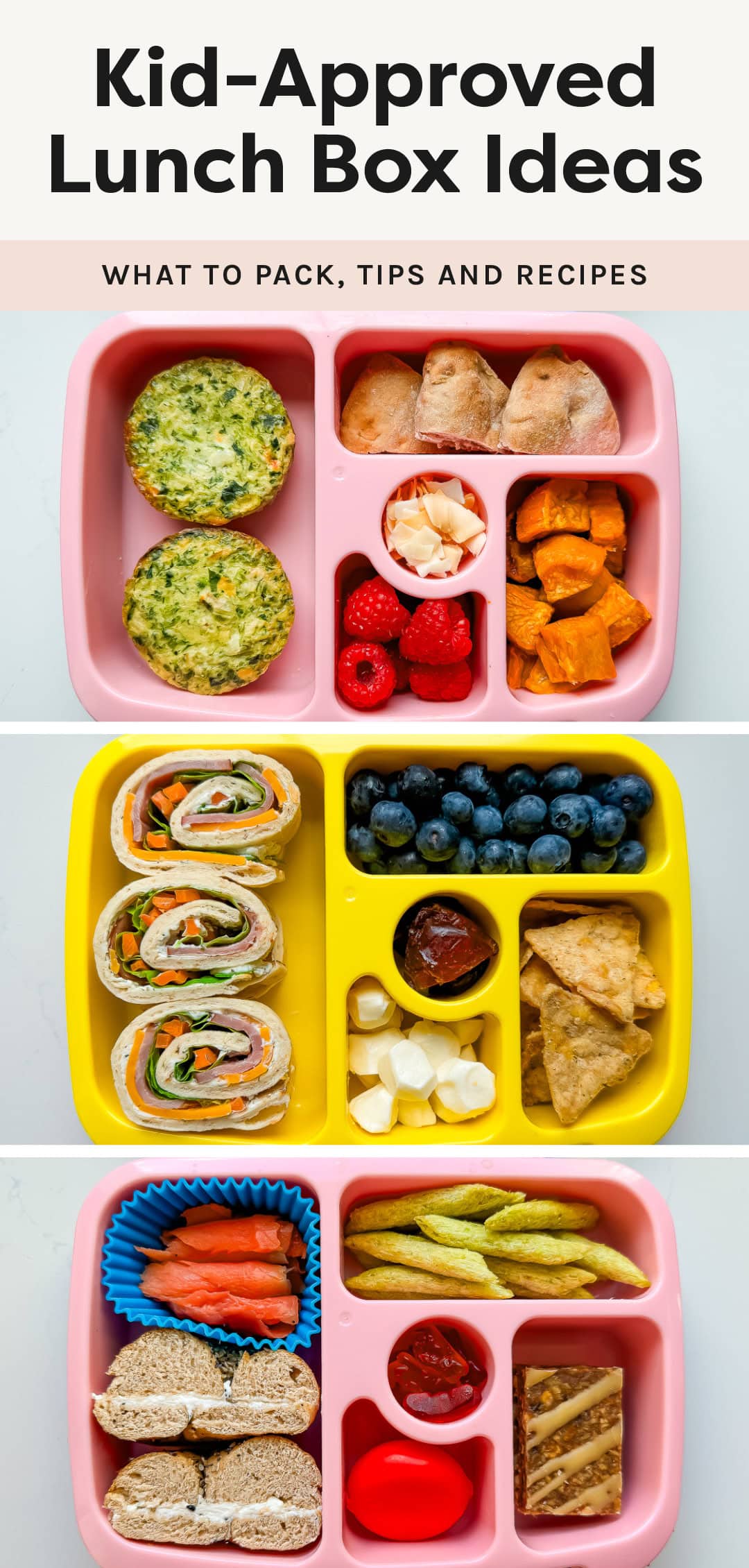 Kid's Lunch Box Ideas: What to Pack, Tips and Recipes - Eating Bird Food