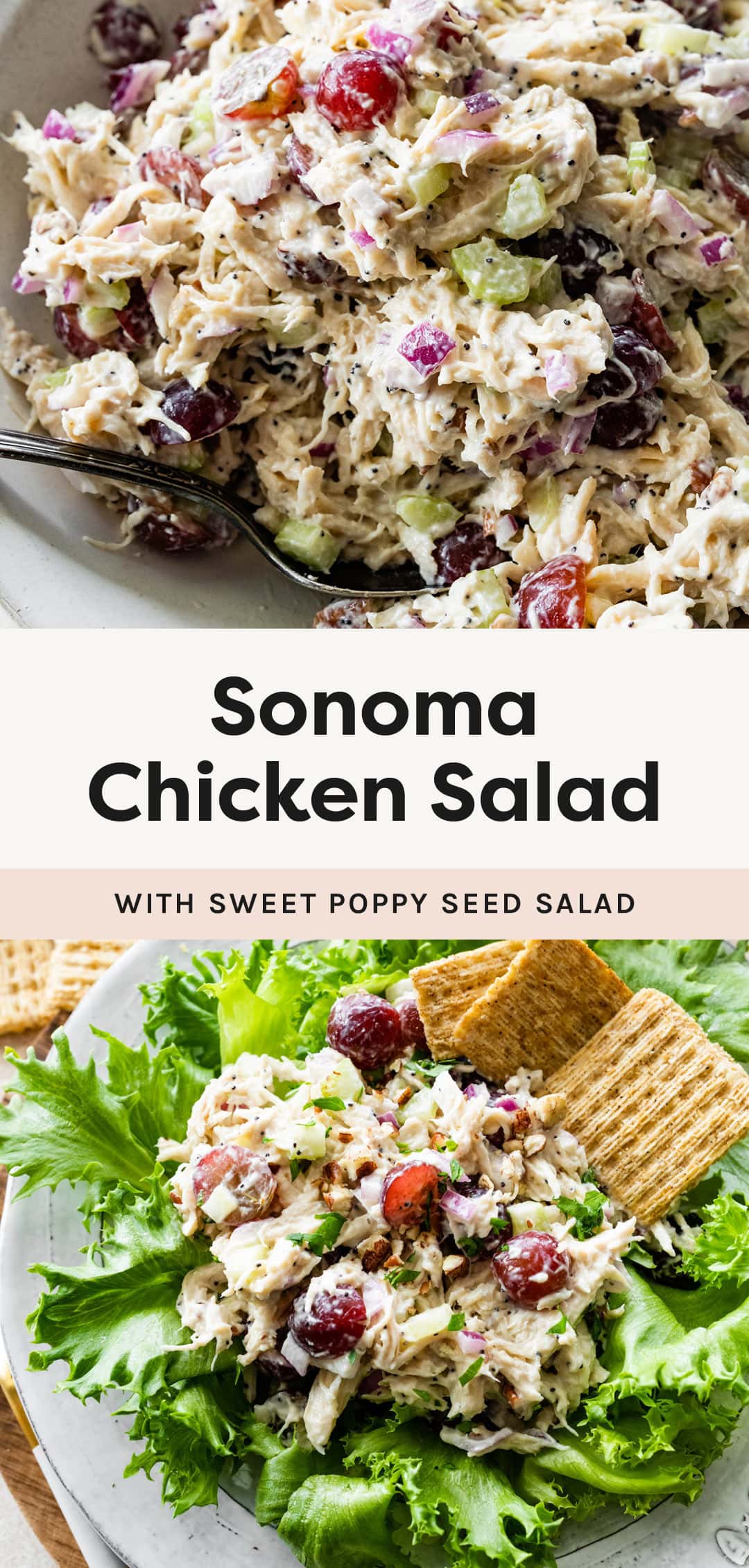 Sonoma Chicken Salad (Whole Foods Copycat) - Eating Bird Food