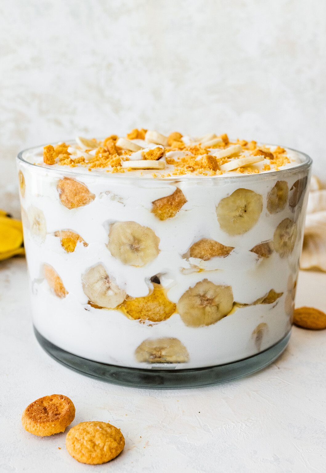 Healthy Banana Pudding Eating Bird Food