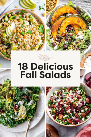 Photo collage of a pear barley salad, harvest salad, sweet kale salad and beet salad.