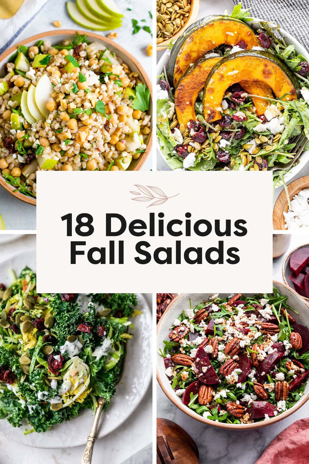 Photo collage of a pear barley salad, harvest salad, sweet kale salad and beet salad.