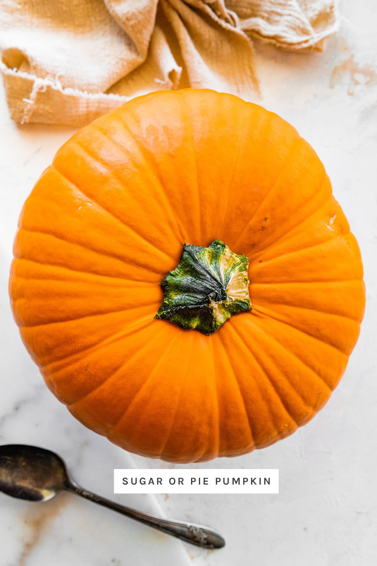 Photo of a pie pumpkin next to a kitchen towel and a spoon.