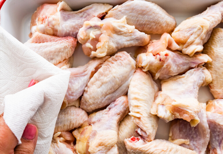 Crispy Air Fryer Chicken Wings Eating Bird Food