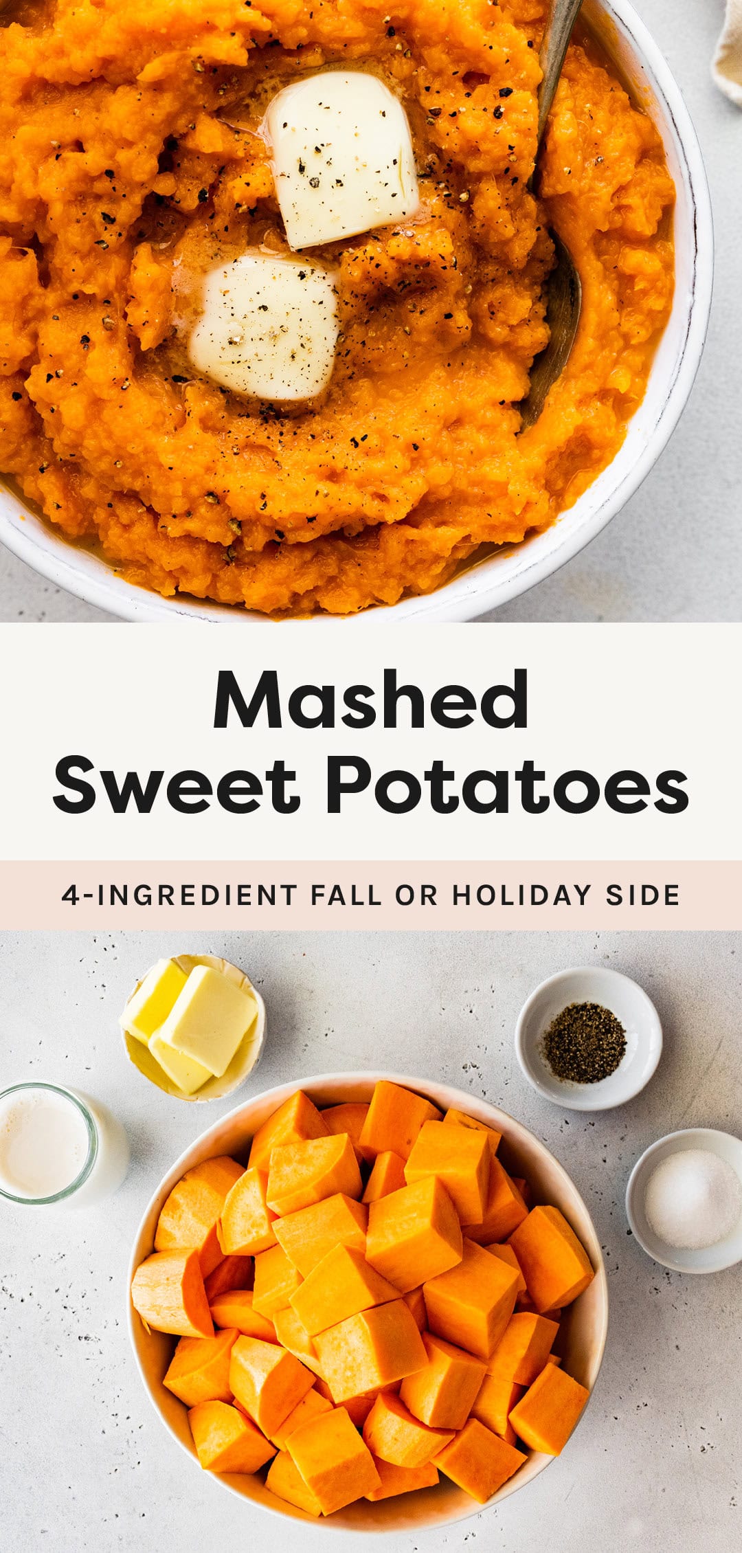 Mashed Sweet Potatoes Eating Bird Food