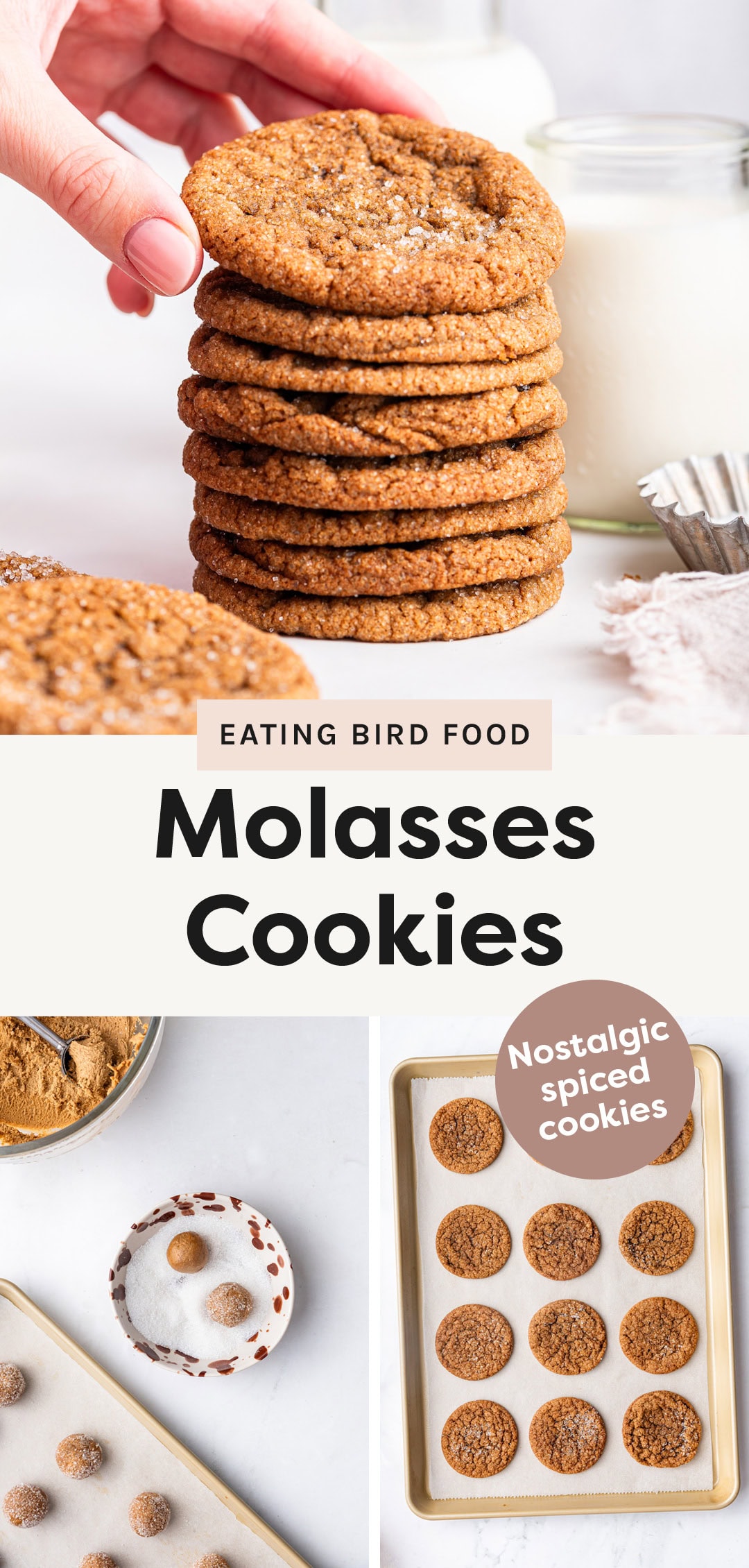 Chewy Ginger Molasses Cookies - Eating Bird Food