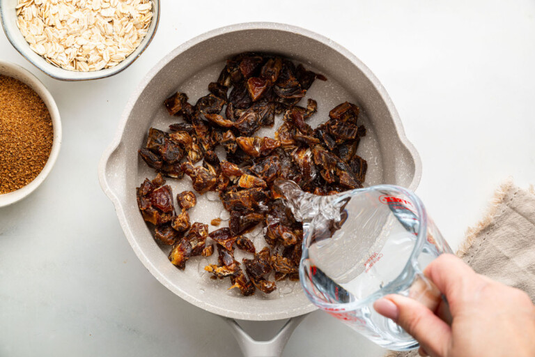 The BEST Date Bars Eating Bird Food the-best-date-bars-eating-bird-food