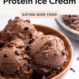 Protein Ice Cream in a bowl with chocolate chips on top.