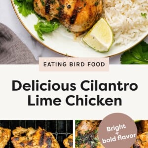 Top Photo: Grilled cilantro lime chicken thighs served with white rice, fresh cilantro, and lime wedges on a plate. Bottom Left Photo: Multiple pieces of cilantro lime chicken grilling on a barbecue grill. Bottom Right Photo: Close-up of grilled cilantro lime chicken piled in a dish with lime wedges and chopped cilantro, served with a fork.