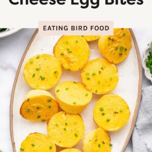 Oval platter filled with golden fluffy cottage cheese egg bites, garnished with chopped chives, on a light background.