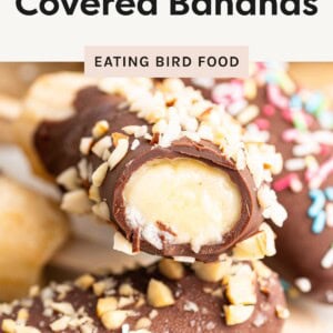 Close-up of frozen chocolate-covered banana halves topped with chopped nuts and sprinkles, labeled dairy-free and gluten-free.