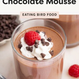 Cottage cheese chocolate mousse in a glass topped with whip cream, chocolate chips and fresh raspberries.