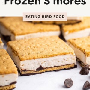 Frozen s’mores bars made with graham crackers, a creamy frozen layer, and a chocolate base, arranged on a white surface with chocolate chips.