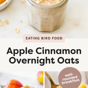 Jar of apple cinnamon overnight oats topped with diced apples and cinnamon. Two jars of apple cinnamon overnight oats with fresh apples in the background. Spoonful of apple cinnamon overnight oats with diced apples.