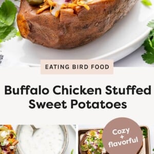 Close-up of a baked sweet potato stuffed with shredded buffalo chicken, jalapenos, red onion, green onions, blue cheese, and drizzled with ranch dressing. Two buffalo chicken stuffed sweet potatoes on a plate with a bowl of ranch dressing on the side. Baking tray filled with six buffalo chicken stuffed sweet potatoes topped with fresh herbs, onions, and dressing.