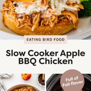 Pulled BBQ chicken sandwich topped with creamy coleslaw on a bun, served with broccoli. Bowl of shredded BBQ chicken mixed with apple chunks and sauce, with a serving spoon. Slow cooker filled with shredded BBQ chicken in a rich apple BBQ sauce.