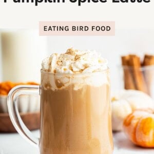 A glass mug filled with iced pumpkin spice latte topped with whipped cream and sprinkled with spice, surrounded by pumpkins and cinnamon sticks.