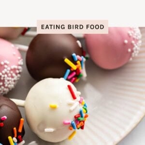 A close-up of a plate with several colorful cake pops (white, chocolate, and pink), featuring a white cake pop dipped in sprinkles. The text overlay says "Healthy Cake Pops."